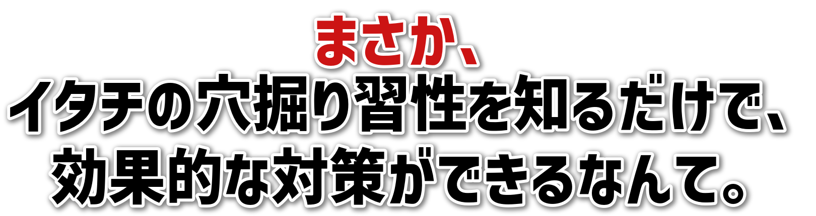 ܂A<br>C^`̌@Km邾ŁA<br>ʓIȑ΍􂪂łȂāB