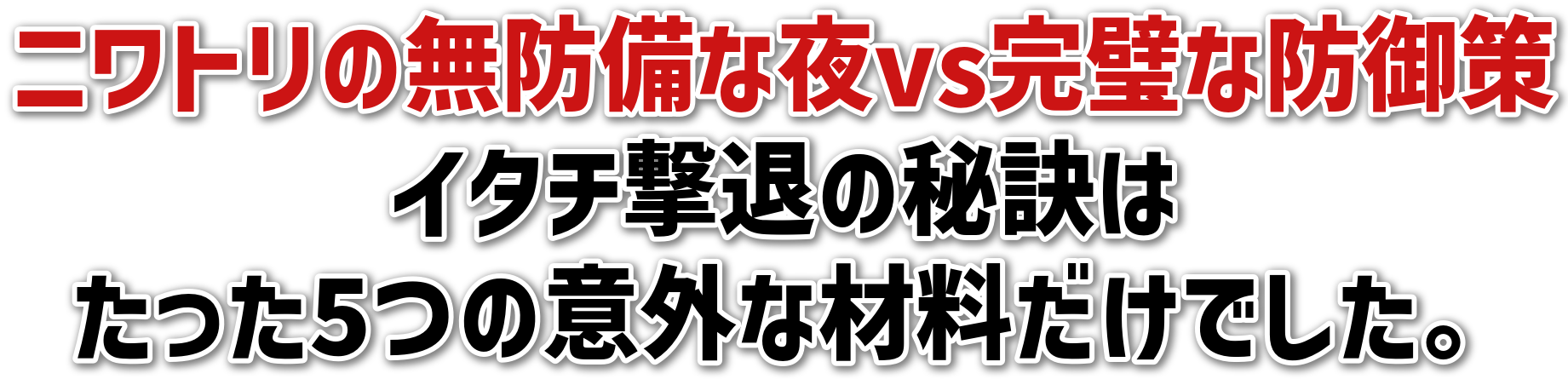 jg̖hȖvsȖh<br>C^`ނ̔錍<br>5̈ӊOȍޗłB