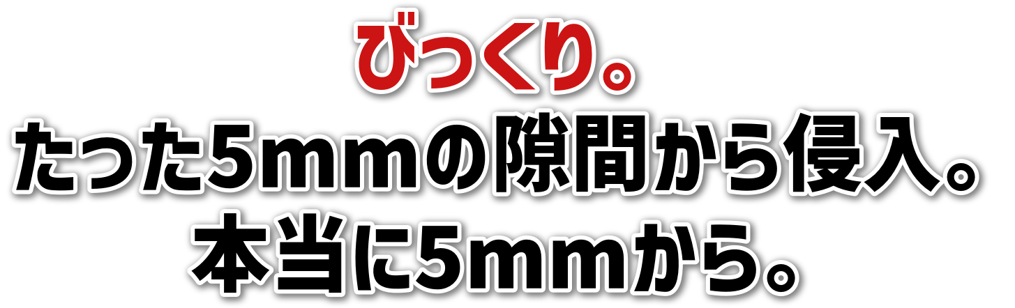 тB<br>5mm̌ԂNB<br>{5mmB