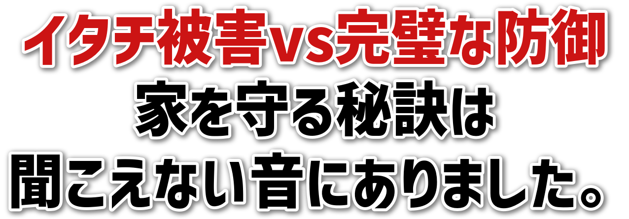 C^`QvsȖh<br>Ƃ錍<br>Ȃɂ܂B